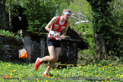 Swiss Orienteering